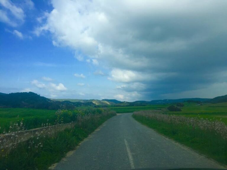 Κίνητρα σε νεαρά ζευγάρια για επιστροφή στο Ριζοκάρπασο