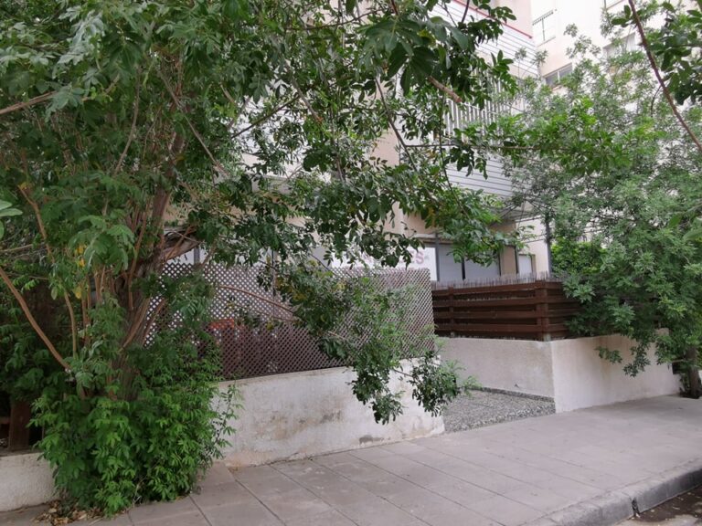 Φύλλο και φτερό τα γραφεία του Παγκύπριου Ιατρικού Συλλόγου (ΒΙΝΤΕΟ)