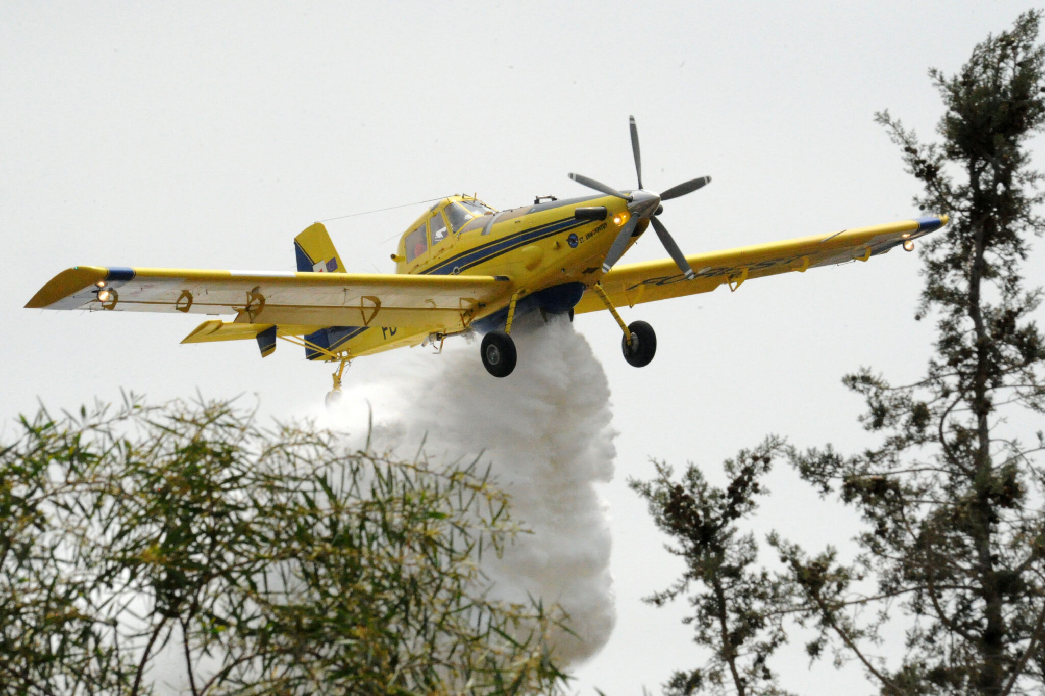 Οι 25 "πληγές" του Τμήματος Δασών σύμφωνα με την Ελεγκτική Υπηρεσία