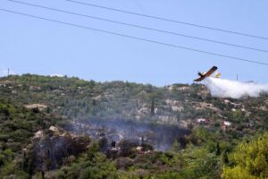 Υπό έλεγχο η δασική πυρκαγιά που ξέσπασε στους Καπέδες