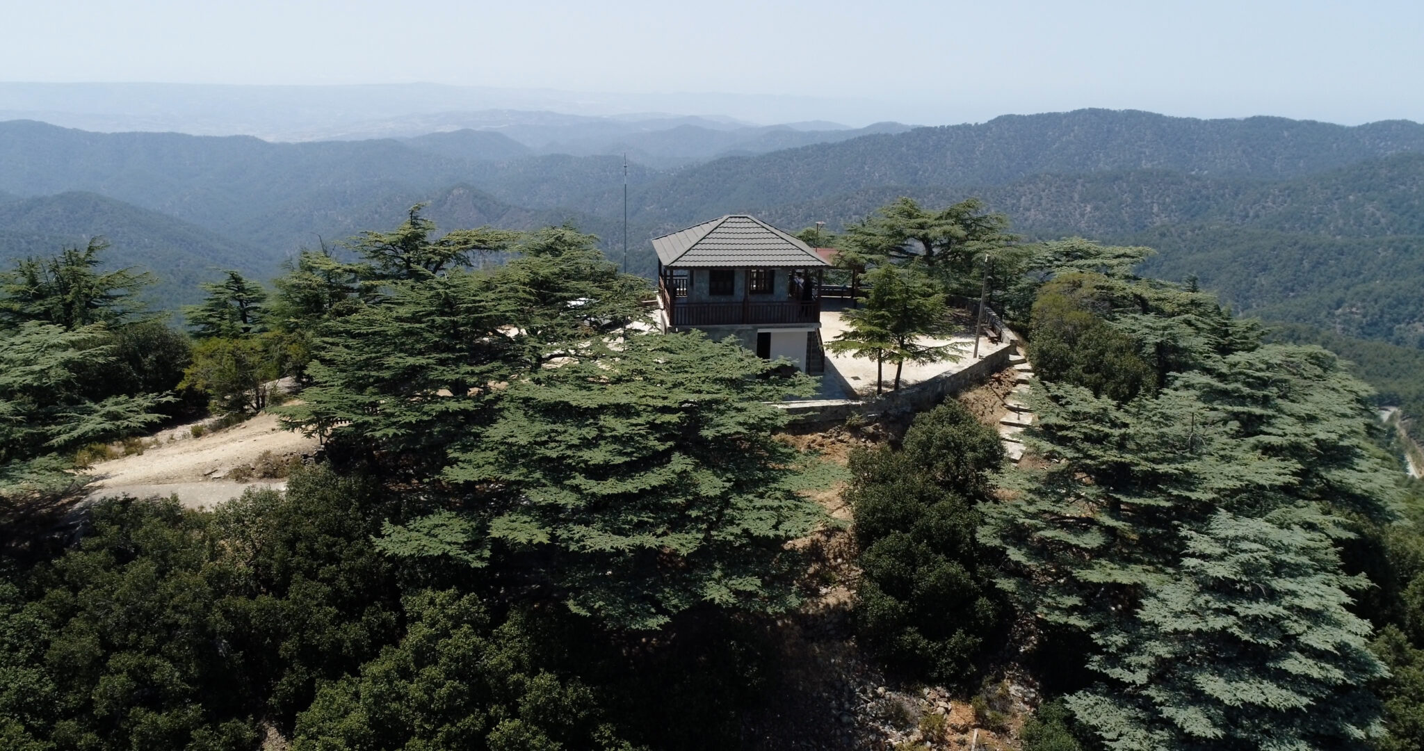 Το έργο LIFE-KEDROS υπέρμαχος του Δάσους