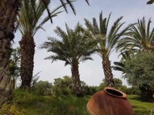 Πέφτει η θερμοκρασία, ανεβαίνουν τα επίπεδα σκόνης (ΒΙΝΤΕΟ)