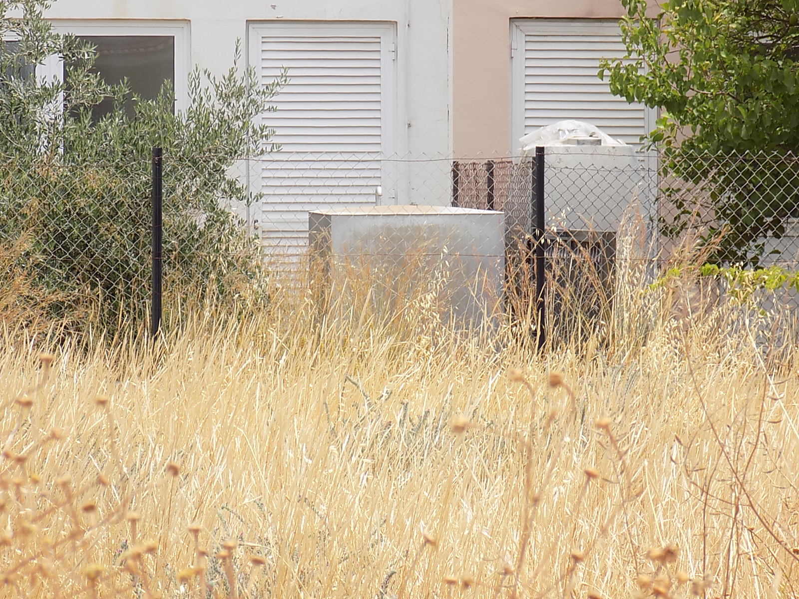 Ξηρά χόρτα γύρω από ντεπόζιτα πετρελαίου στις "καρδιές" των πόλεων (ΒΙΝΤΕΟ)