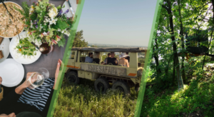 Αν δεν έχεις κάνει "Wine Safari" στη ζωή σου…δεν έχεις κάνει τίποτα(ΦΩΤΟ)