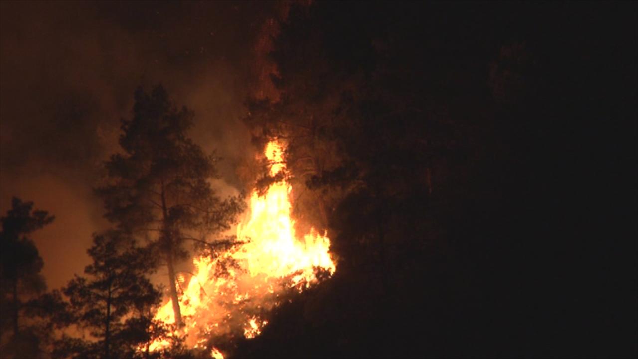 Συναγερμός στη Πυροσβεστική για πυρκαγιά μεταξύ Λετύμπου και Πολεμίου