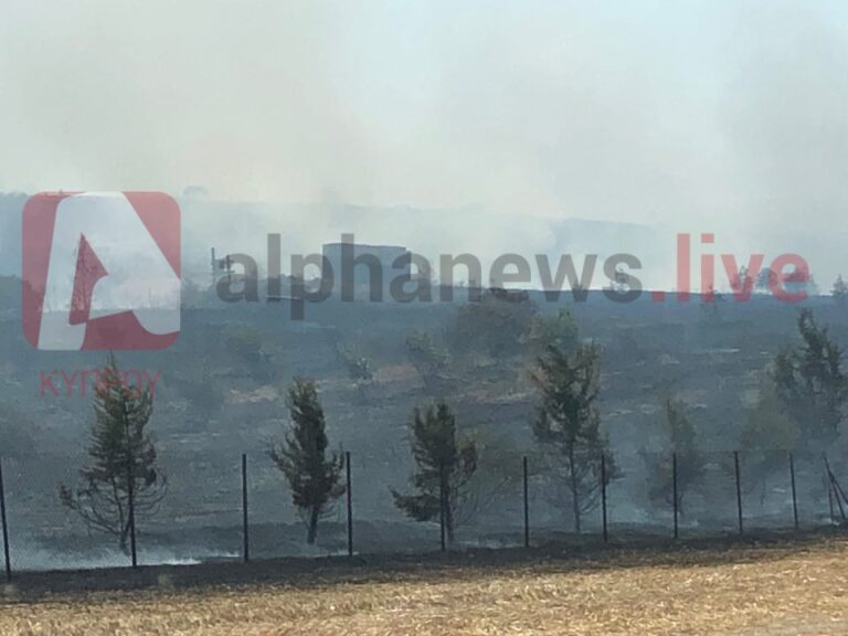 Μάχη με τις φλόγες πυροσβεστών και δασοπυροσβεστών στο Γέρι (ΒΙΝΤΕΟ&ΦΩΤΟ)