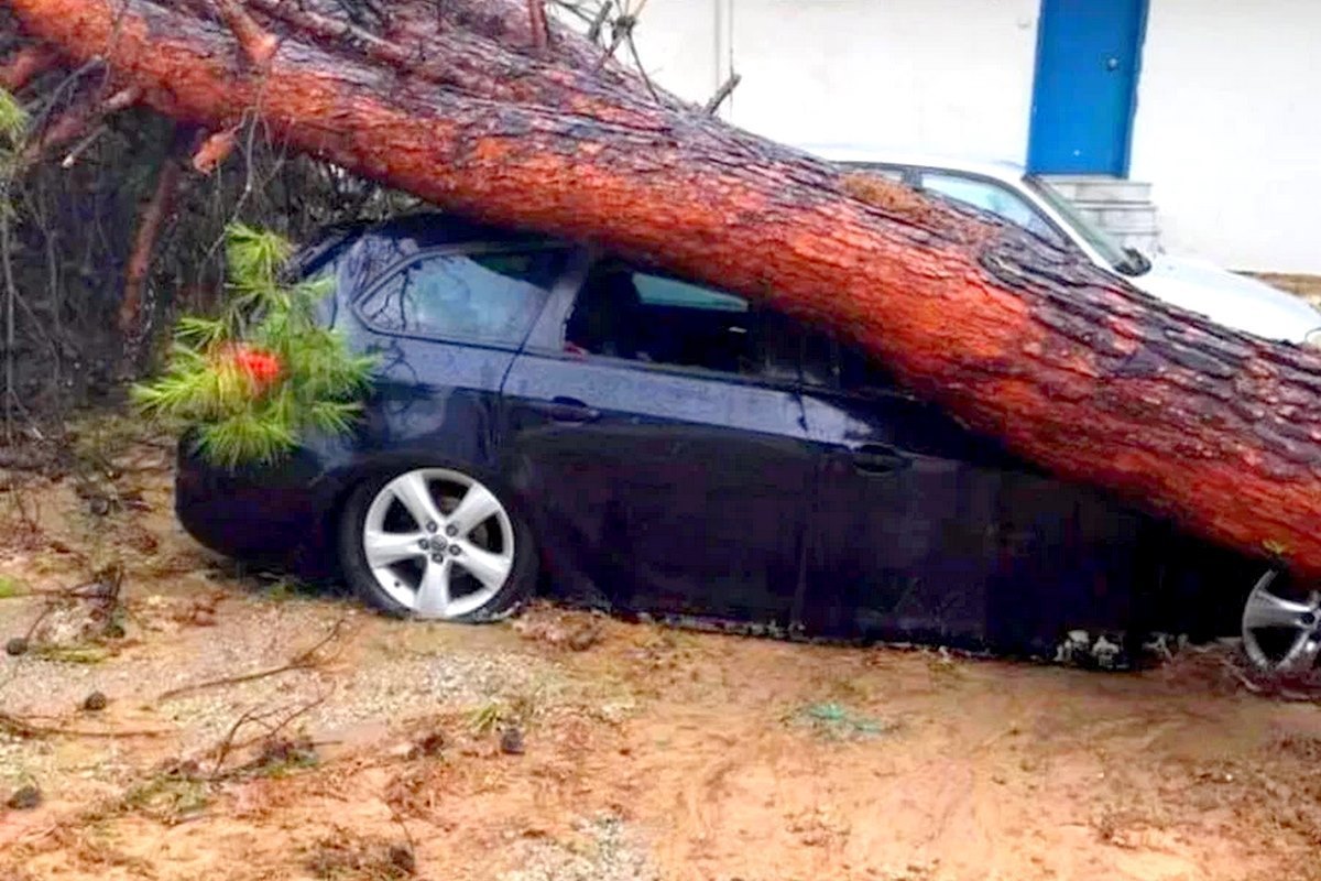 Δεν υπάρχουν αναφορές για Κύπριους τραυματίες στη Χαλκιδική (ΒΙΝΤΕΟ)