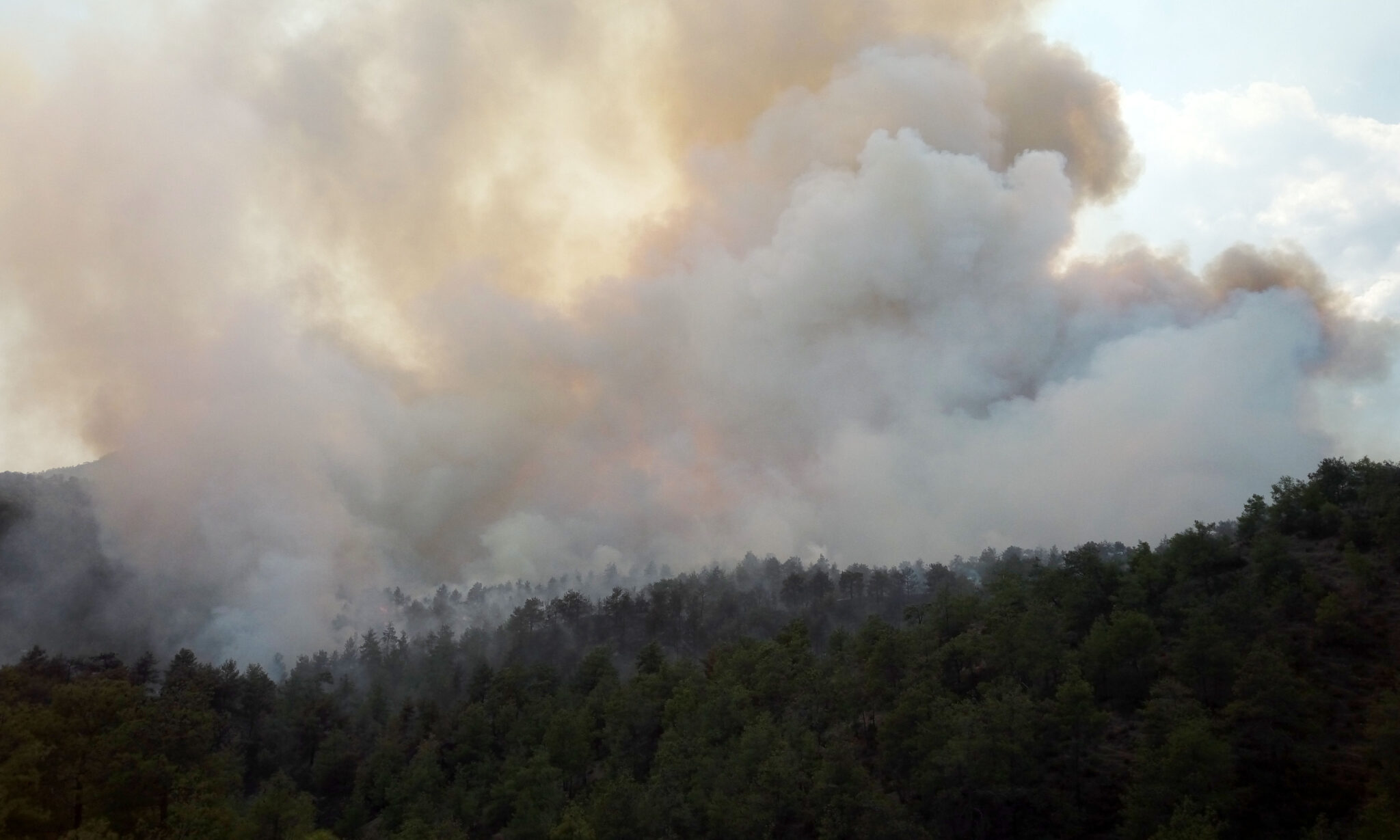 "Κόκκινος συναγερμός" για την πρόκληση δασικών πυρκαγιών