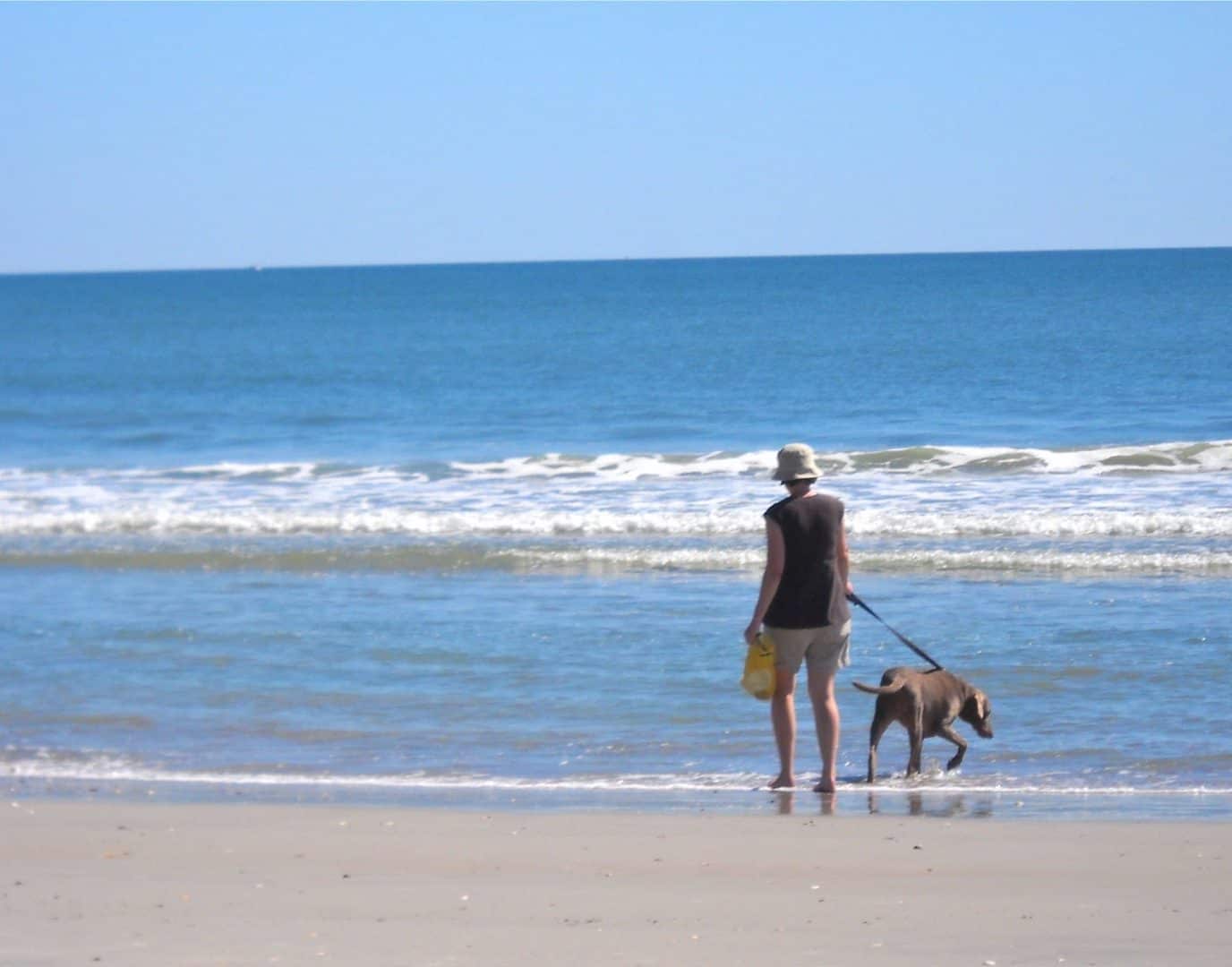 "Δεν βρίσκουν τις παραλίες για σκύλους ούτε με GPS" (ΒΙΝΤΕΟ)