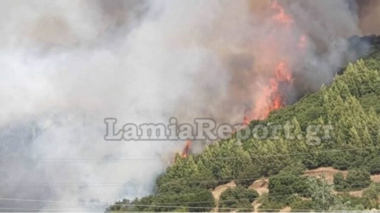Ελλάδα: Μεγάλη πυρκαγιά στη Φθιώτιδα κοντά σε οικισμούς