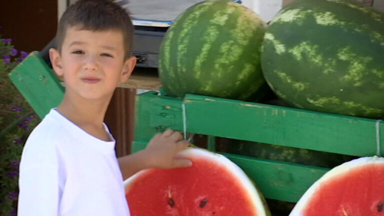 Είναι μόλις 5,5 ετών και κατάφερε να διευθύνει τη δική του επιχείρηση (ΒΙΝΤΕΟ)