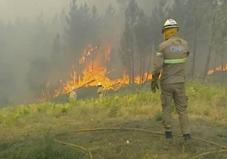Πορτογαλία: Μάχη με τις φλόγες σε δάσος κοντά στη Λισαβόνα