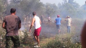 Εκκενώνονται δύο χωριά λόγω πυρκαγιάς στην Κέρκυρα (ΒΙΝΤΕΟ)