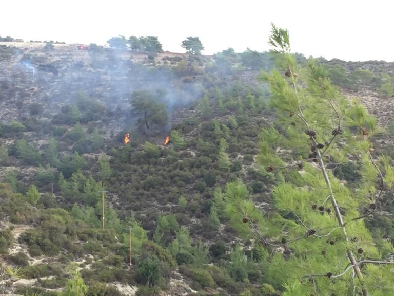Υπό πλήρη έλεγχο η πυρκαγιά που ξέσπασε στην Κοινότητα Δρούσιας