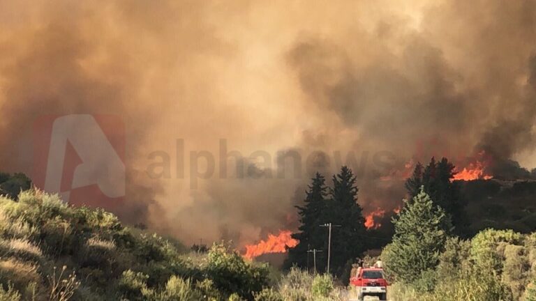 Δεν υπήρξε ολιγωρία στην πυρκαγιά της Λεμεσού, λέει η Πυροσβεστική (ΦΩΤΟ)