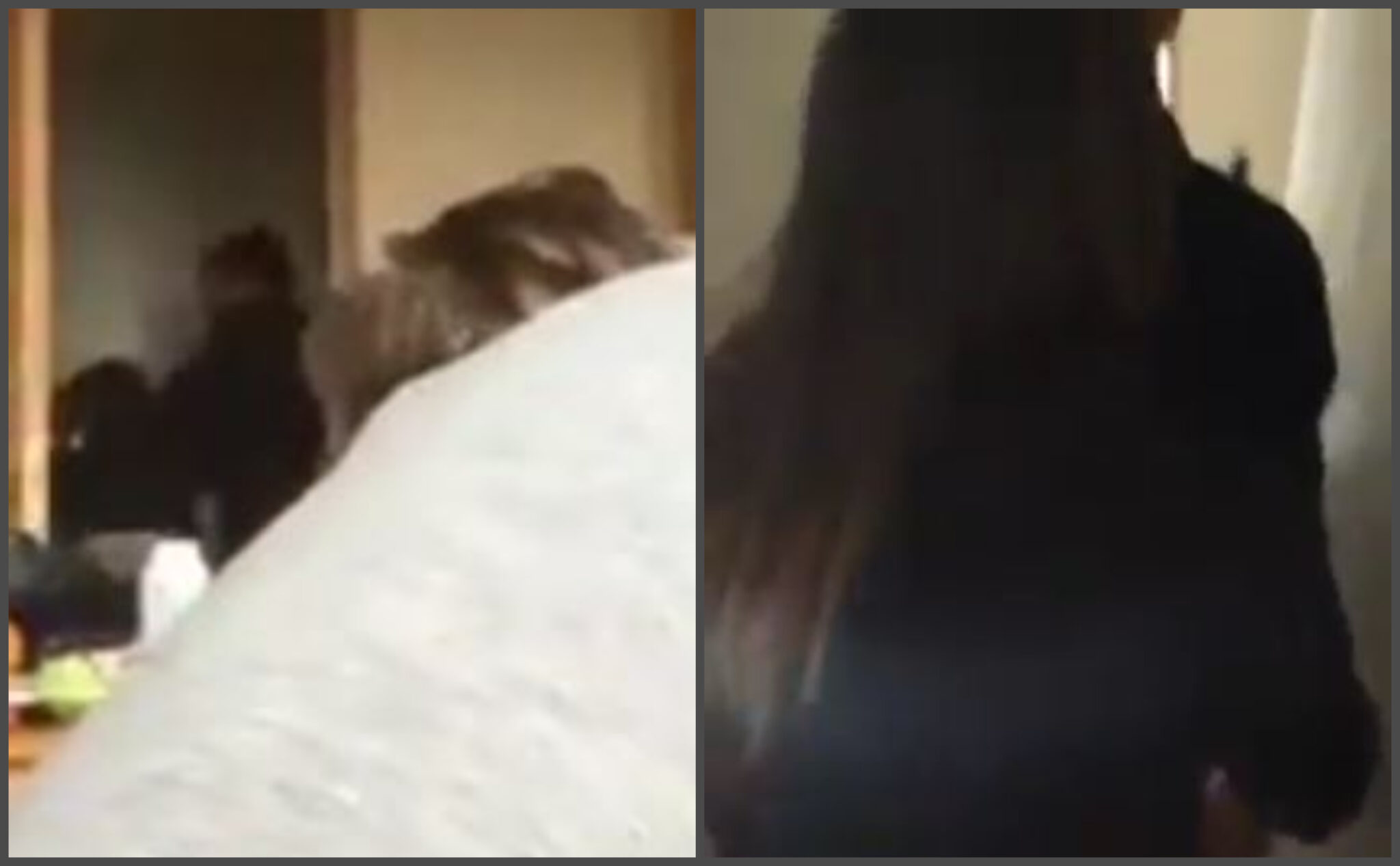 Έρευνα του Γραφείου Ευημερίας για εικόνες βίας που δημοσιεύτηκαν στο Facebook