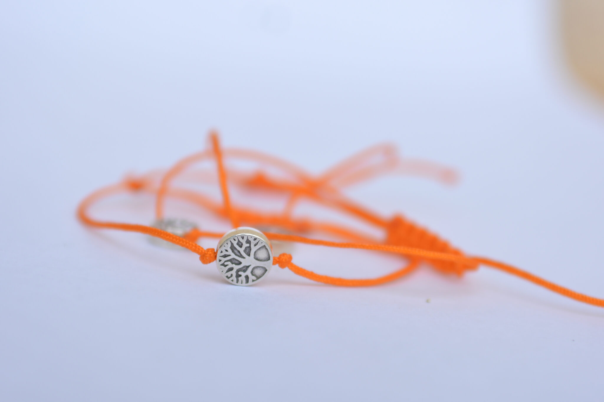 TΟ ΚΑΡΑΙΣΚΑΚΕΙΟ ΙΔΡΥΜΑ ΣΕ ΠΟΡΤΟΚΑΛΕΙ