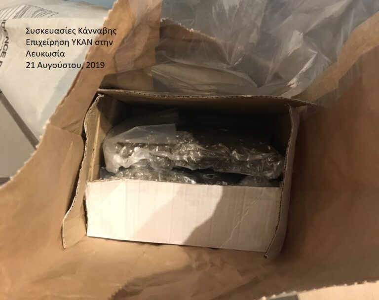 Τους "τσάκωσαν" με εννέα κιλά κοκαΐνης, λίγο πριν τη διαθέσουν (ΒΙΝΤΕΟ)