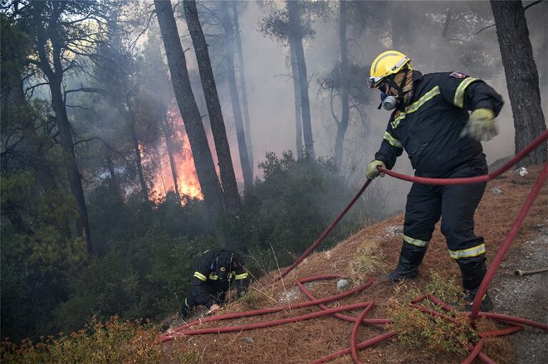 Υπό έλεγχο η πυρκαγιά στην Εύβοια (ΦΩΤΟ)