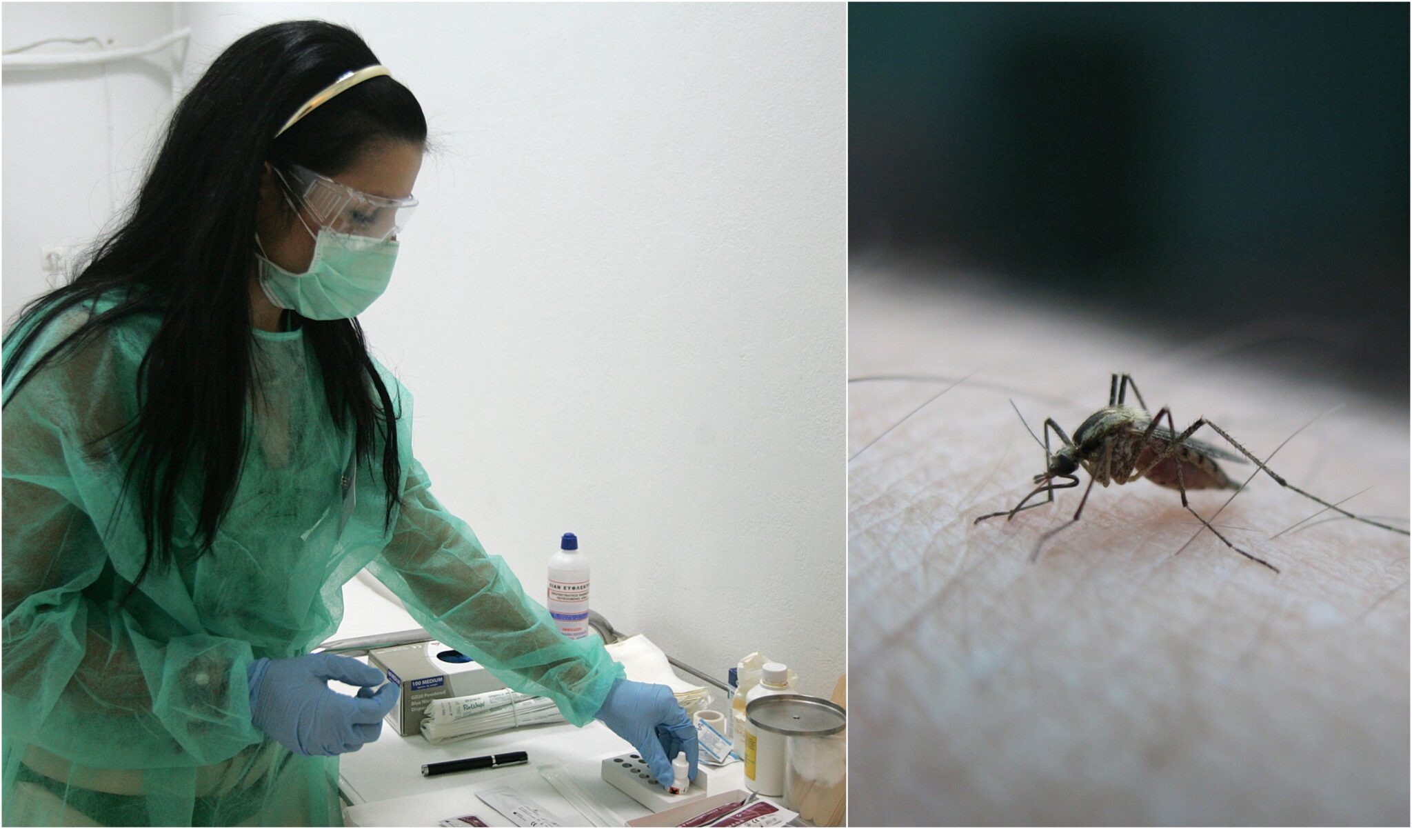 4 νεκροί από τον ιό του Δυτικού Νείλου στην Ελλάδα