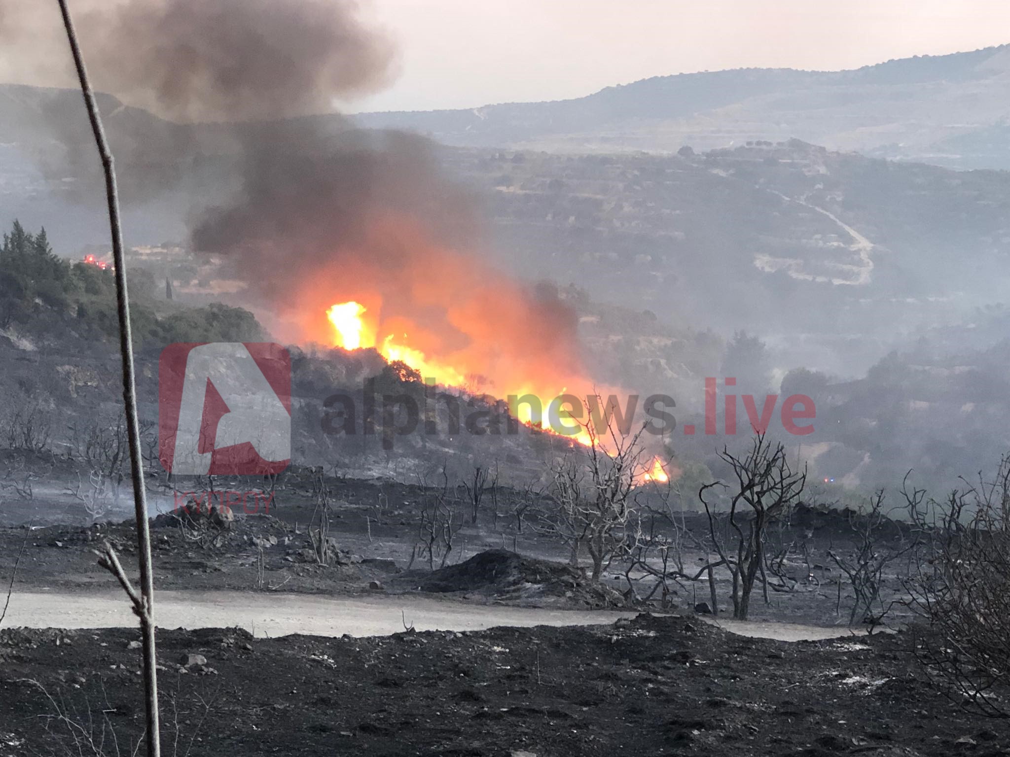 Συνεχίζονται οι μάχες με τις φλόγες στη Λεμεσό (ΒΙΝΤΕΟ)