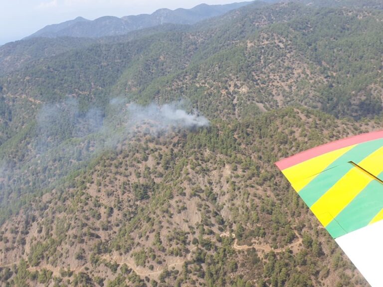 Ξέσπασε φωτιά στην "καρδιά" του κρατικού δάσους της Πάφου (ΦΩΤΟ)