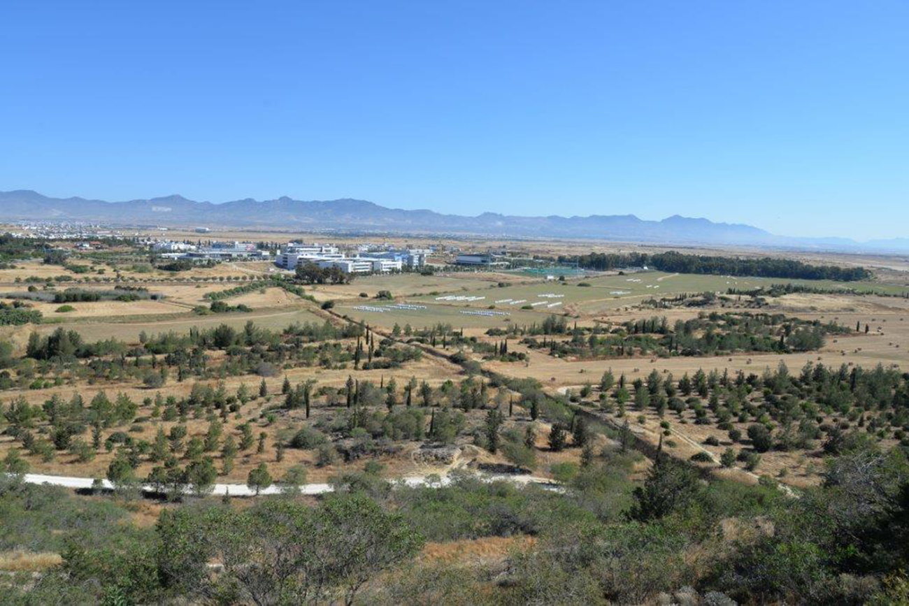 70,000 δέντρα από το Υπουργικό Συμβούλιο για να "πρασινίσει" η Κύπρος (ΒΙΝΤΕΟ)