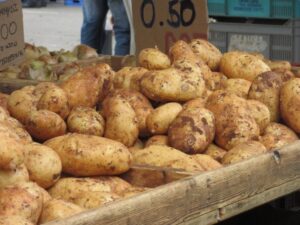 Eξαγωγές πατάτας σε Γερμανία, Αυστρία και Βέλγιο προωθεί η Κυβέρνηση