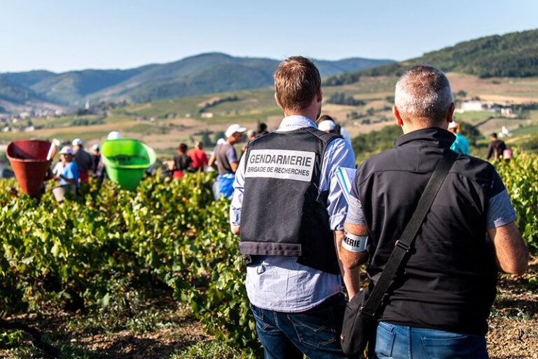 167 θύματα κυκλώματος σύγχρονου δουλεμπορίου που εξαρθρώθηκε από την Europol