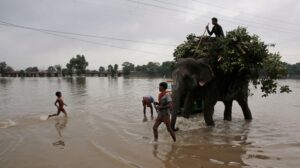 Φονικές βροχοπτώσεις στην Ινδία με δεκάδες νεκρούς