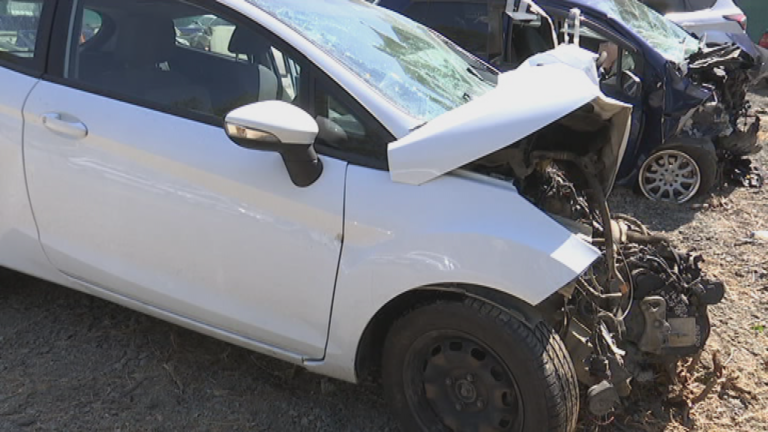 "Έσβησε" δίπλα στον εγγονό της η άτυχη Περσεφόνη (ΒΙΝΤΕΟ)