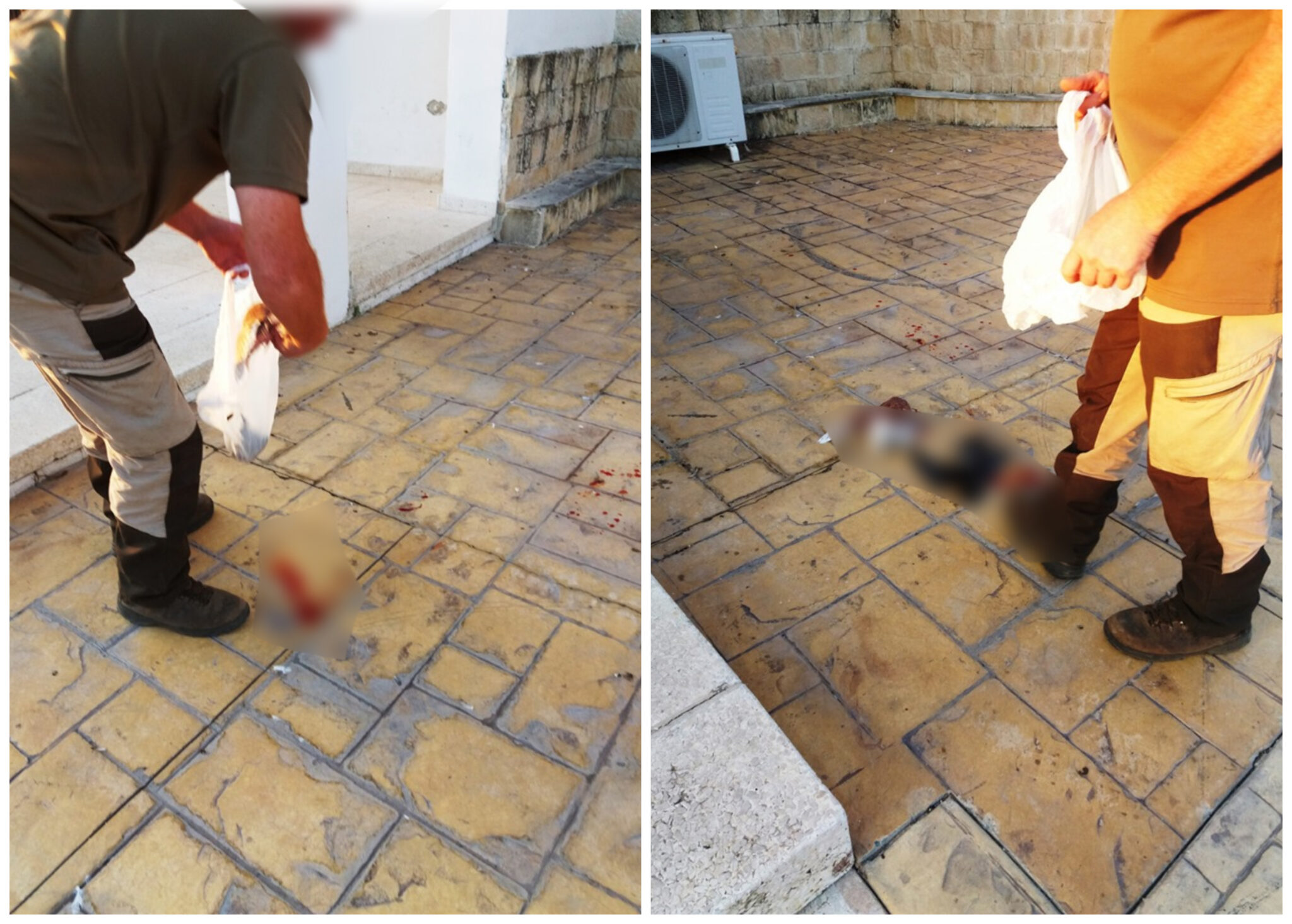 Υπάλληλος των Βάσεων πυροβολούσε περιστέρια σε δημοτικό (ΒΙΝΤΕΟ)