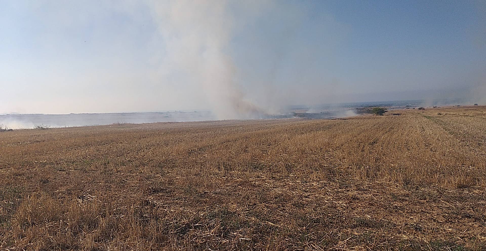 Πυρκαγιά ξέσπασε σε περιοχή του Αστρομερίτη (ΦΩΤΟ)
