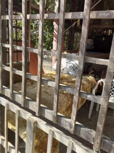 Πάνω από ένα χρόνο εξαπατούσαν το κράτος στο "όνομα" αστέγων της Λεμεσού