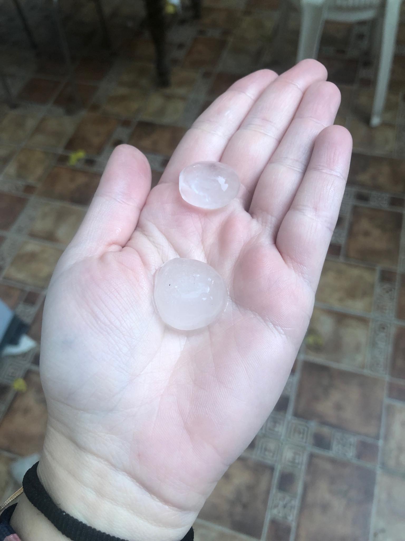 "Καρεκλοπόδαρα" παγκύπρια, μετά την πρωινή καλοκαιριά (ΦΩΤΟ)