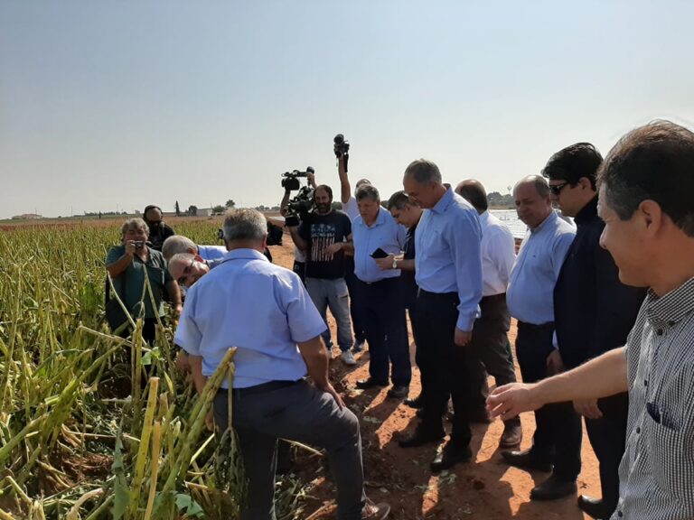 Χιλιάδες εκτάρια καλλιεργειών κατέστρεψε η χαλαζόπτωση στα Κοκκινοχώρια (ΒΙΝΤΕΟ)