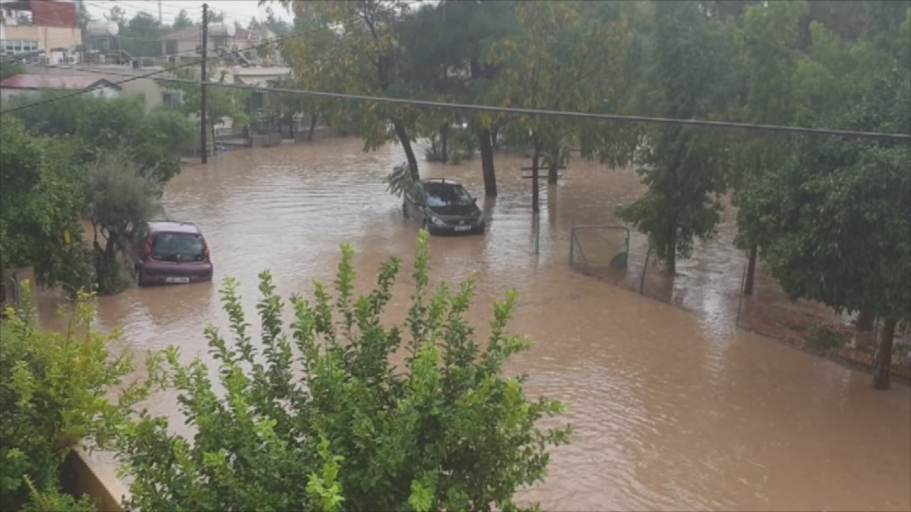 "Ο πατέρας έβγαλε τα παιδάκια από το αυτοκίνητο και αυτά έτρεμαν" (ΒΙΝΤΕΟ)