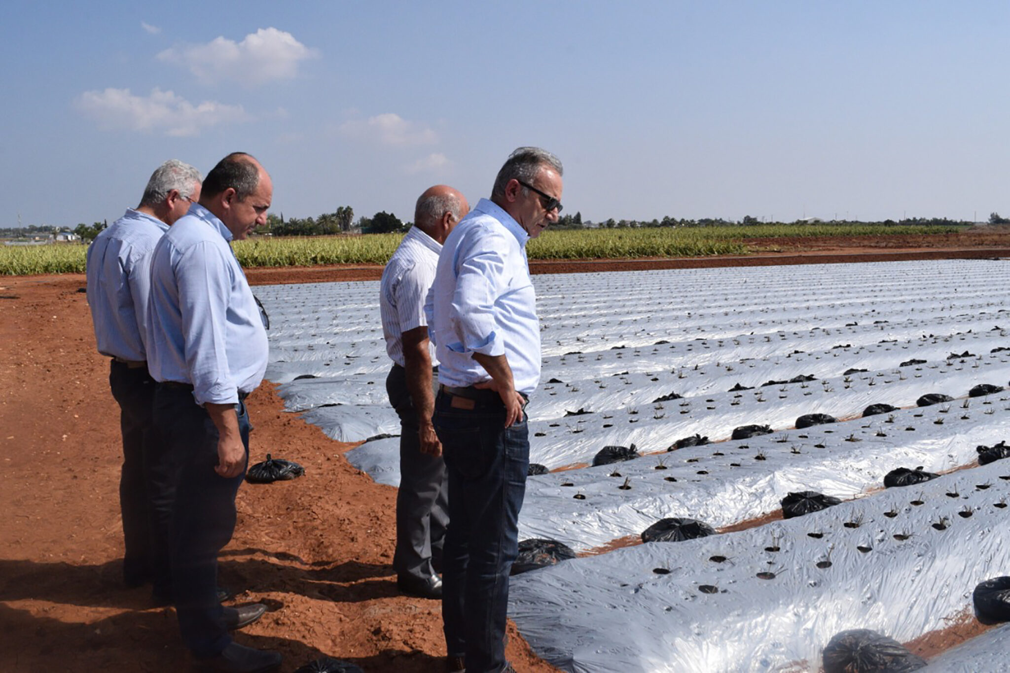 Αγρότες σε απόγνωση: Χαλάζι κατέστρεψε τις σοδειές τους (ΒΙΝΤΕΟ)