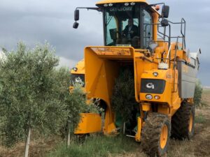 Η στιγμή που ο Αβέρωφ ανεβαίνει σε τρακτέρ για συγκομιδή ελιών (ΒΙΝΤΕΟ)