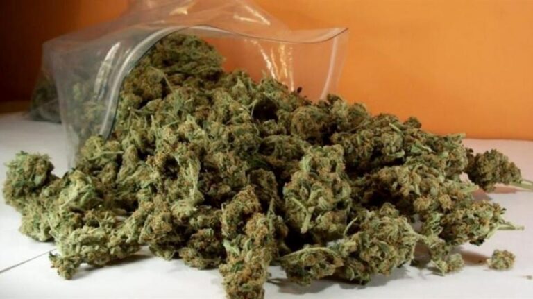 Σύλληψη στο αεροδρόμιο Λάρνακας για κατοχή 17 κιλών κάνναβης