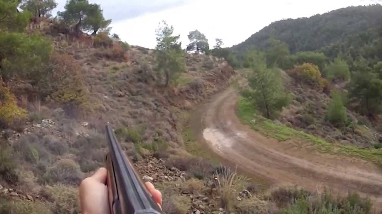 Αντί για θήραμα πυροβόλησε κυνηγούς και εξαφανίστηκε