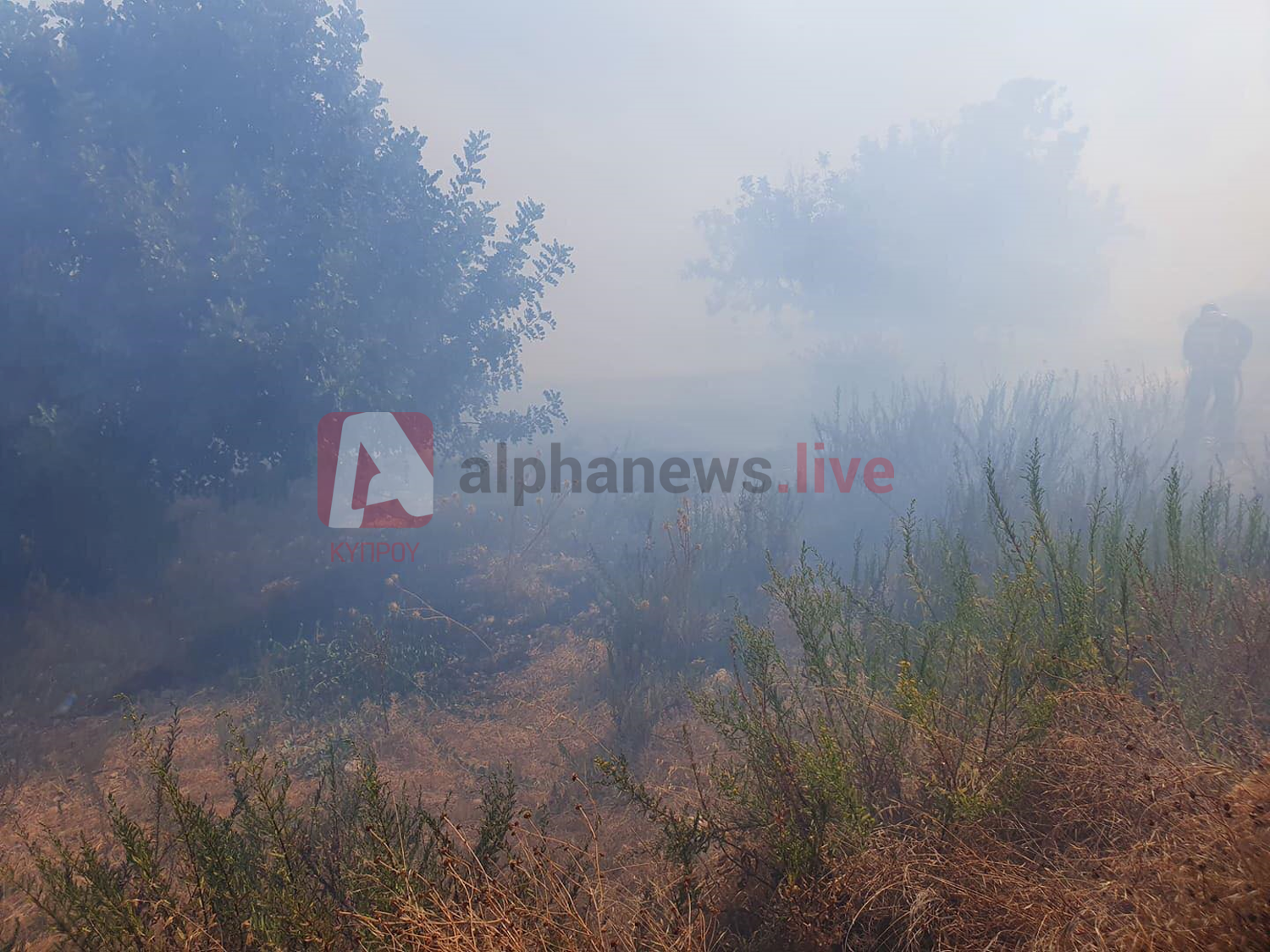 Πυρκαγιά στη Λεμεσό κατέκαψε 4 εκτάρια άγριας βλάστησης και δέντρων