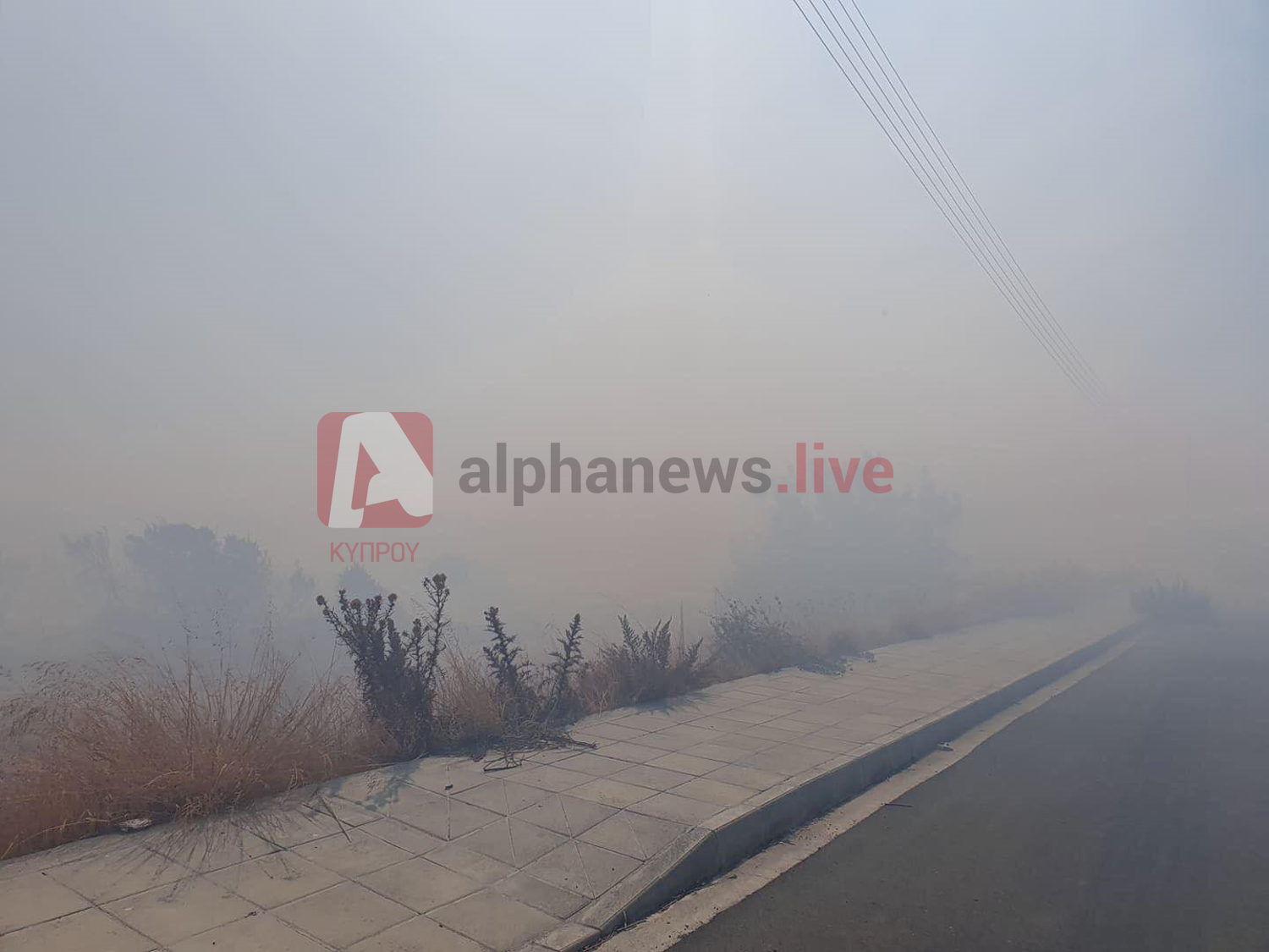 Παραμένουν δυνάμεις της Πυροσβεστικής στα σημεία που ξέσπασαν πυρκαγιές (ΒΙΝΤΕΟ)