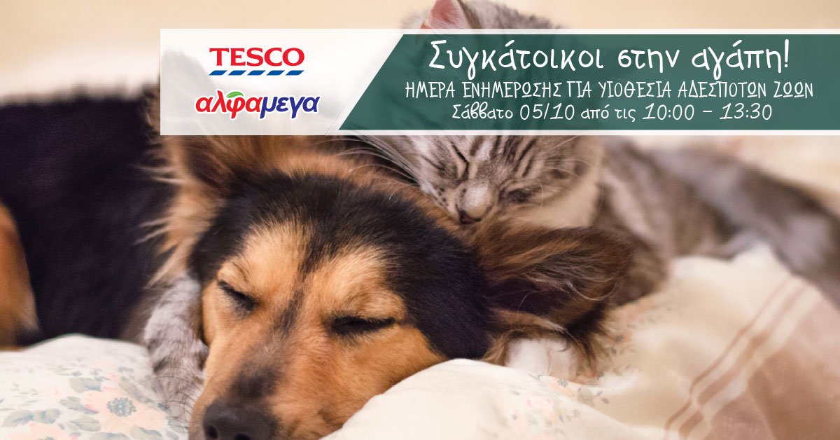 Ημέρα ενημέρωσης για υιοθεσία αδέσποτων ζώων από τις Υπεραγορές ΑΛΦΑΜΕΓΑ