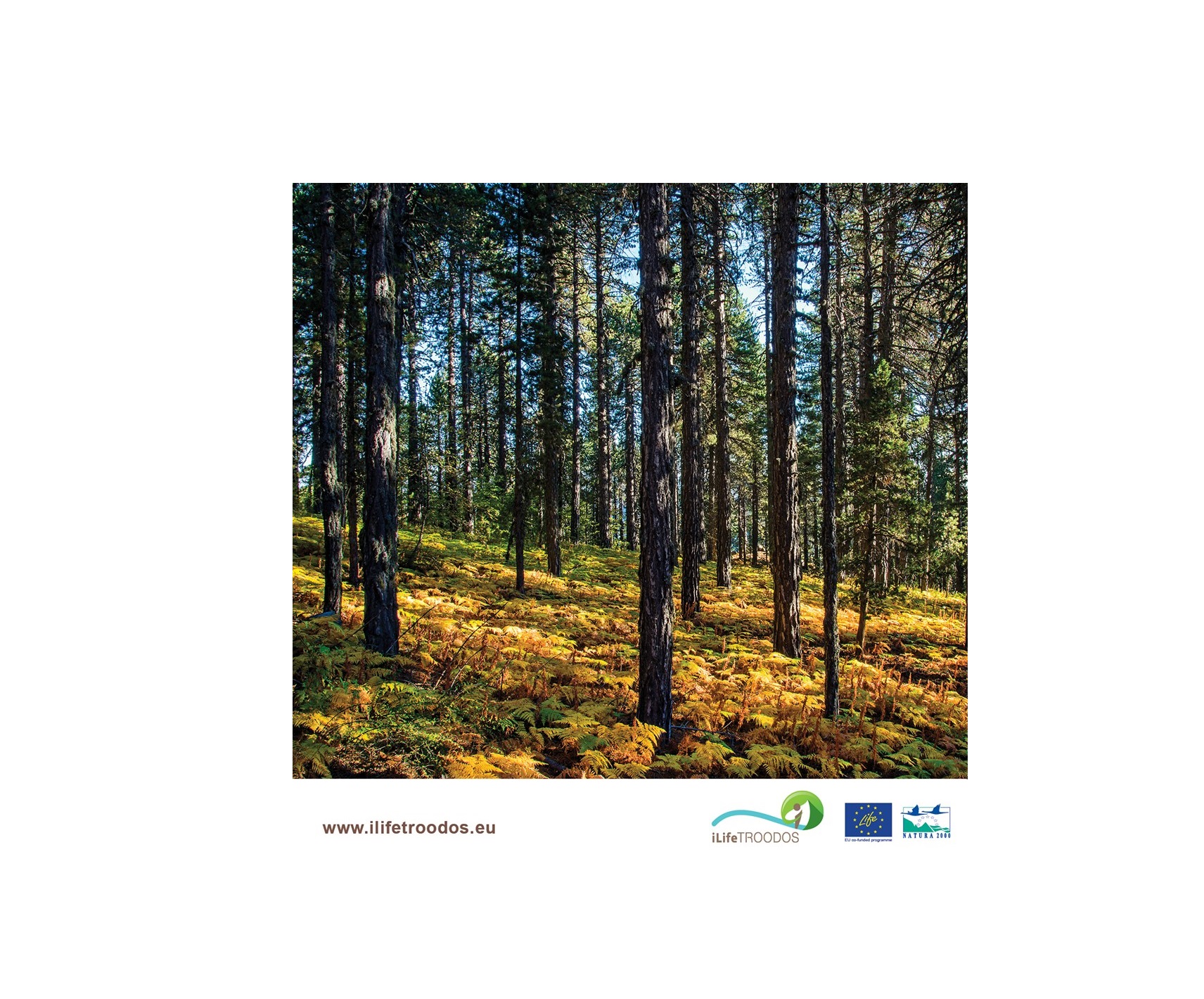 «Γιατί το Τρόοδος είναι στη Φύση μας»;