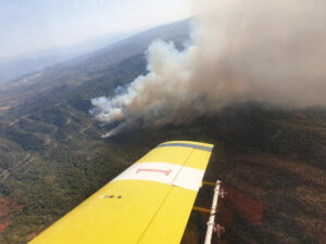 Ψάχνουν "βετεράνους" εμπρηστές για την πυρκαγιά που κατέκαψε τον Ακάμα (ΒΙΝΤΕΟ)