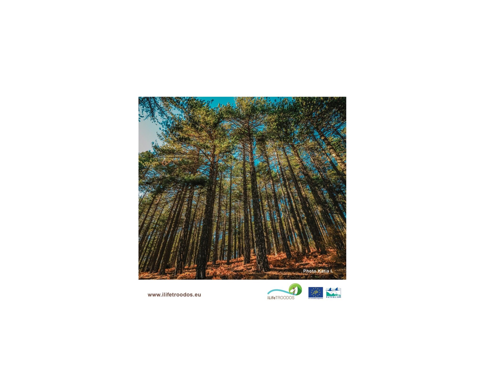 Τρόοδος, μπροστά στα μάτια μας, αλλά πόσο το ξέρουμε;