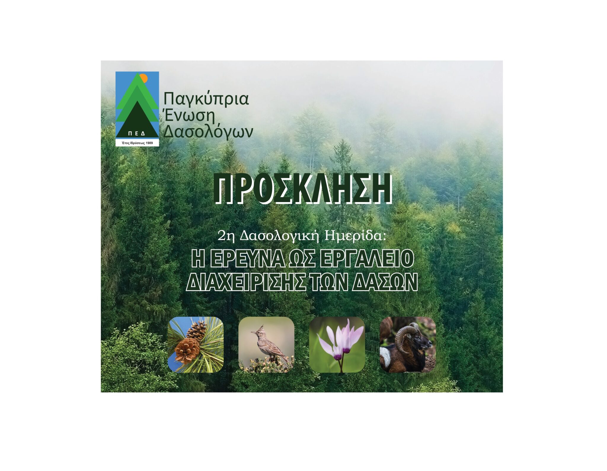 Δεύτερη Δασολογική Ημερίδα στην Κύπρο