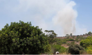 «Πύρινη κόλαση» μέσα σε λίγη ώρα το Δάσος του Ακάμα