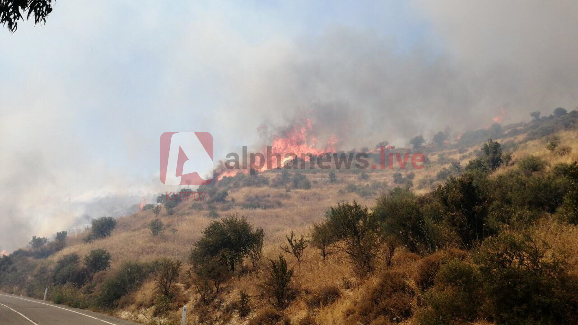 Σε κινητοποίηση η Πυροσβεστική για πυρκαγιά στην επαρχία Λεμεσού
